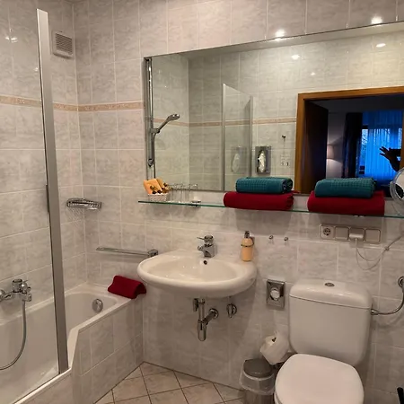 Отель Garni Schick 3*